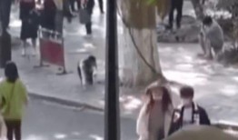 风景爆料女主播视频播放,带你领略自然之美