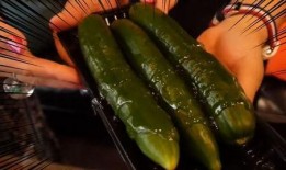 网红吃蒸小瓜,美味与创意的完美融合