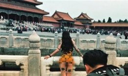 故宫最新爆料视频播放在线观看,最新爆料视频带你领略皇家宝藏风采